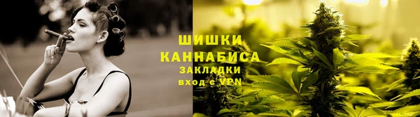 ГАЛЛЮЦИНОГЕННЫЕ ГРИБЫ Зеленокумск