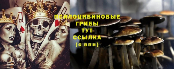 ГАЛЛЮЦИНОГЕННЫЕ ГРИБЫ Зеленокумск
