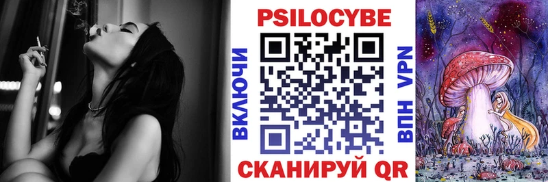 наркотики  Новый Уренгой  Псилоцибиновые грибы Psilocybine cubensis 